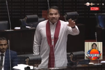 මෙහෙම ගිහින් කවදාවත් ආණ්ඩුවට ඩයස්පෝරාවේ උතුරේ හදවත දිනාගන්න වෙන් නෑ - නිදහස දවසේ වෙච්ච ලොකුම වැරැද්දට නාමල් දෙහි කපයි