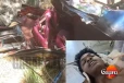 "බ්රේක් නෑ පස්සට ගිහින් අල්ලගන්න රියදුරු කෑ ගැහුවා කවුරුත් ගණන් ගත්තේ නෑ අපි හිනා වුණා" - තුවාලකරුවෙක්ට පියවි සිහියට