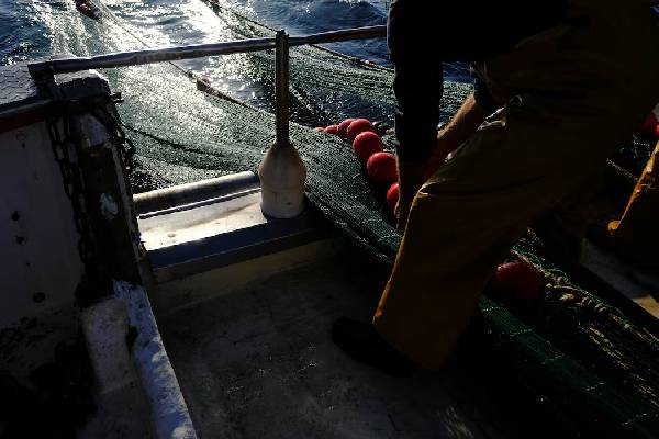 2026 ஆம் ஆண்டுக்கான மீன்பிடி ஒதுக்கீடுகள்... ஒப்புக்கொண்ட ஐரோப்பிய ஒன்றிய நாடுகள் | Eu Countries Agree Fishing Quotas 2026 ஆம் ஆண்டுக்கான மீன்பிடி ஒதுக்கீடுகள்... ஒப்புக்கொண்ட ஐரோப்பிய ஒன்றிய நாடுகள் | Eu Countries Agree Fishing Quotas