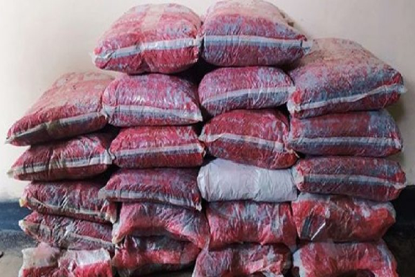 யாழில் 85 கிலோ கேரள கஞ்சாவை மீட்ட கடற்படையினர்! | Marines Recovered 85 Kg Of Kerala Ganja