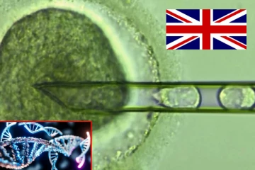 3 நபர்களின் DNA-வில் பிறந்த 8 குழந்தைகள்! பிரித்தானியாவில் நடந்த மருத்துவ சாதனை