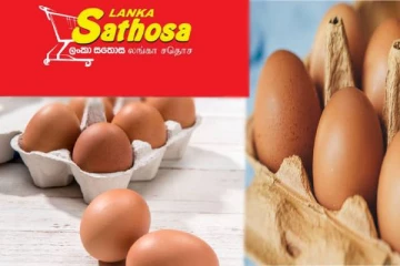 இலங்கைக்கு இறக்குமதி செய்யப்பட்ட முட்டைகள்: இன்று முதல் நடைமுறை