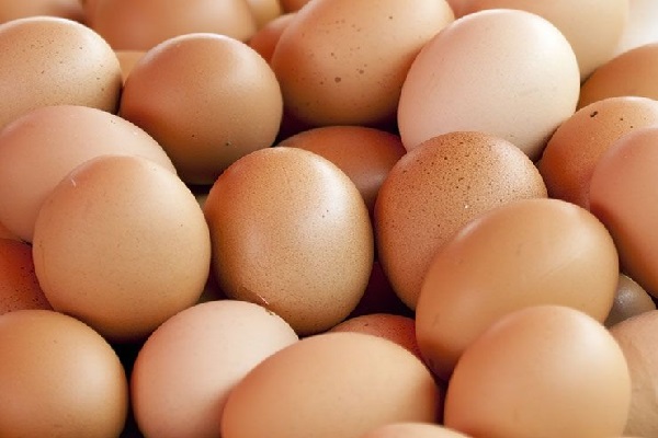 முட்டை விலை - இந்தவார இறுதிக்குள் எடுக்கப்படவுள்ள தீர்மானம் | Egg Price Decision Taken By End Of This Week