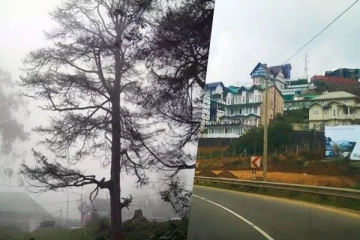 நுவரெலியாவில் அதிக பனிமூட்டம் : சாரதிகளுக்கு எச்சரிக்கை