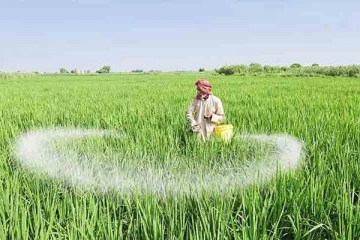 இரசாயன பசளைகளை  இறக்குமதி செய்ய அரசாங்கம்  அனுமதி வழங்கவில்லை!