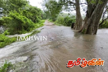 வவுனியா - தாண்டிக்குளம் உடைப்பெடுக்கும் அபாயம்