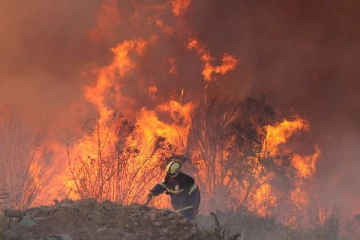 111 ஆண்டுகளில் பதிவான அதிக வெப்பம்…சிலி நாட்டில் பயங்கர காட்டுத்தீ: 11 பேர் பலி