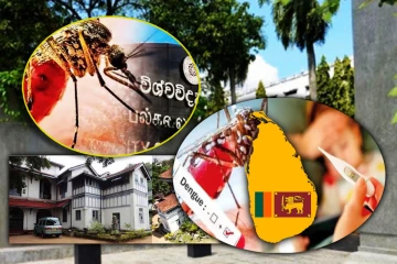 பல்கலைக்கழகங்களை மூட நடவடிக்கை - உயர் கல்வி பிரதி அமைச்சர்