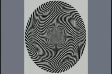 Optical illusion: கண்களை மயக்கும் கருப்பு,வெள்ளை மாயையில் தெரியும் இலக்கங்கள் எவை?