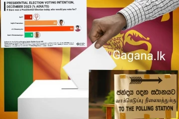 නවතම සමීක්ෂණ වාර්තා අනුව ජනාධිපතිවරණය දිනන්නෙ කවුද?. මෙන්න විශේෂ හෙළිදරව්වක්..