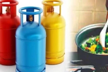 உள்நாட்டு எரிவாயு கொள்கலன்களின்  விலை உயர்வை தவிர்க்க முடியாது - லசந்த அழகியவன்ன