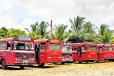 ලංගමයට අයත් ඩිපෝ 107 ක බස්වලට දැවැන්ත අර්බුදයක් - බස් රථ රැසක් නවතී