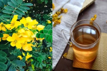 நோய் எதிர்ப்பு சக்தியை தூண்டும் ஆவாரம்பூ ஹெர்பல் டீ; எப்படி செய்யனும் தெரியுமா?