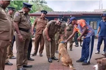 இலங்கைக்கு பல கோடி மதிப்பிலான நாய்கள் இறக்குமதி!