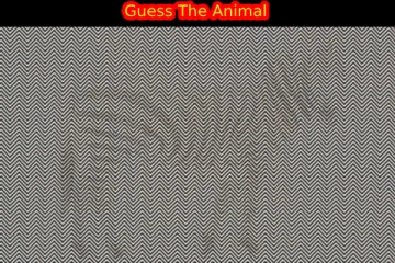 Optical illusion: சுத்தமான கண்பார்வையை சோதிக்கலாம்....இதில் என்ன மிருகம் தெரிகிறது?