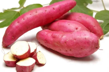 சர்க்கரைவள்ளிக் கிழங்கின் நன்மைகள்!