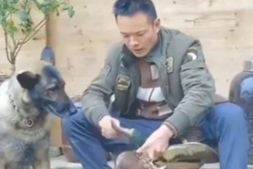 நட்பின் உயிரை காப்பாற்ற துடி துடித்த நாய்... இறுதியில் செய்த சிலிர்க்க வைக்கும் செயல்! மனிதர்களும் தோற்று விடுவார்கள்