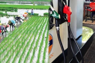 கவலைப்பட வேண்டாம்! விவசாயிகளுக்கு பிரதியமைச்சர் வெளியிட்ட மகிழ்ச்சித் தகவல்