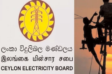 இலங்கை மின்சார சபை ஊழியர்கள் தொடர்பில் வெளியான தகவல்