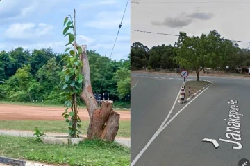 வேப்பம் மரத்தை வெட்டி அகற்றிவிட்டு அரச மரத்தை வைத்துள்ள படையினர் (PHOTOS)