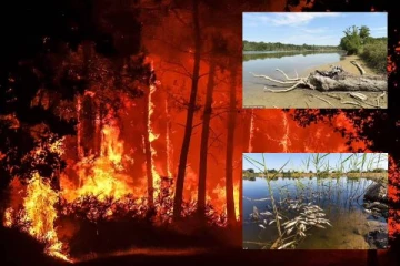 மொத்தமாக வறண்டுவிட்டது... வரலாறு காணாத நெருக்கடி: பிரான்சில் அவசரநிலை