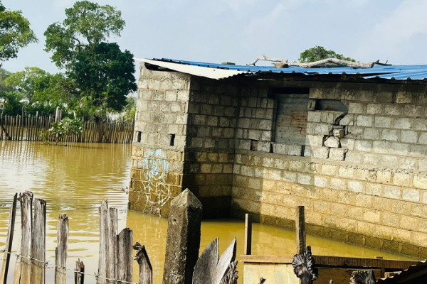 வெருகல் பகுதியில் உட்புகுந்த வெள்ளநீரால் பெரும் அவதி | Floodwaters Cause Severe Hardship In Verugal Area