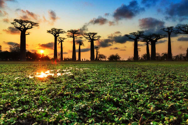 உலகில் இரவில் ஒளிரும் அற்புதமான இடங்கள் பற்றி தெரியுமா..! | Places That Glow In The Dark World