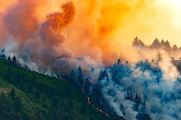 பிரித்தானியாவில் காட்டுத் தீயால் எரிந்த பெரும்பகுதி., 2025 தொடக்கத்திலேயே சாதனை அளவு பதிவு