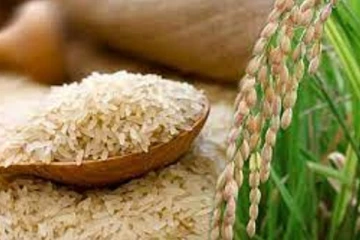 அரிசி இறக்குமதி செய்ய வேண்டிய நிலை ஏற்படலாம்: அமைச்சர் எச்சரிக்கை - செய்திகளின் தொகுப்பு