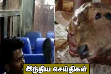அத்துமீறிய இளைஞரை காலணியால் தாக்கிய பெண்...நான்கு கண்களுடன் பிறந்த அதிசய கன்றுக்குட்டி! இந்திய செய்திகள்