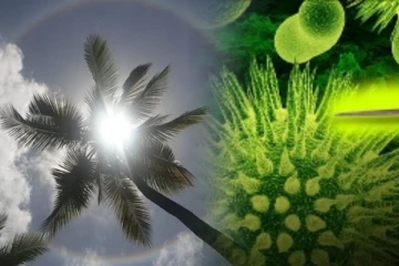 இலங்கையில் கடும் வெப்பத்தால் ஏற்பட்டுள்ள மற்றுமொரு ஆபத்து