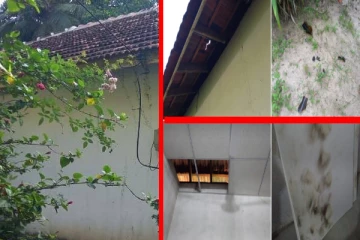 தமிழரசுக் கட்சி வேட்பாளர் வீட்டின் மீது பெற்றோல் குண்டு வீச்சு