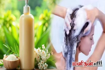 பொடுகு மற்றும் முடி உதிர்வை தடுக்கும் வெந்தயப்பொடி ஷாம்பூ... எப்படி செய்யலாம்?