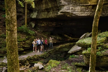 வெளிநாட்டிலுள்ள இலங்கையரின் பெருமளவு பணம் கற்பாறைக்குள் கண்டுபிடிப்பு