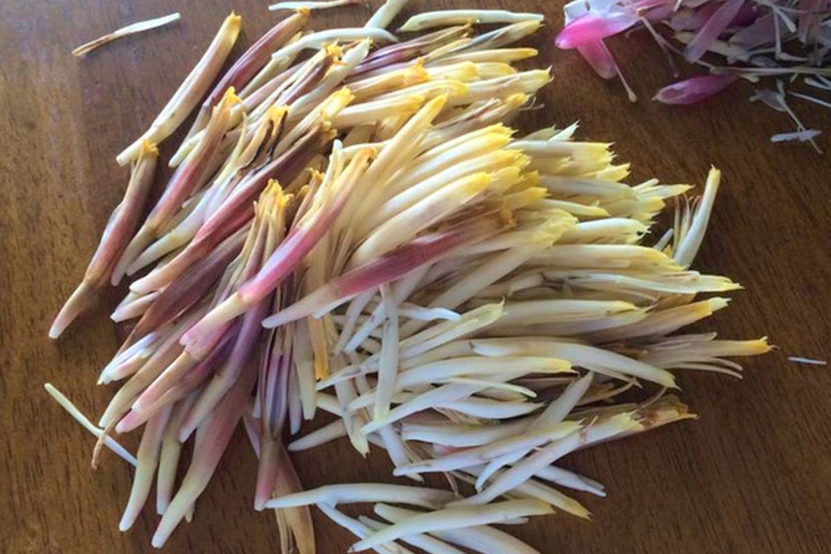 வாழைப்பூ குருமா இந்த மாதிரி வைத்துப் பாருங்க... சுவை டேஸ்ட் அட்டகாசமா இருக்கும் | Tirunelveli Style Vazhaipoo Kurma Recipe