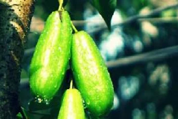 රසම රස බිලිං චට්නි හදමු..