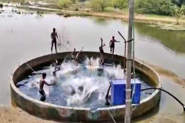 யாழ்ப்பாணத்தில் சிறுவனுக்கு நேர்ந்த துயரம் | Tragedy Befalls A Young Boy In Jaffna