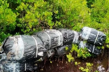 கற்பிட்டியில் மீட்கப்பட்டுள்ள பீடி இலைகள்!