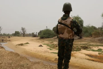 நைஜரில் இந்தியரை கடத்தி சென்ற பயங்கரவாதிகள் - தாக்குதலில் 2 இந்தியர்கள் உயிரிழப்பு