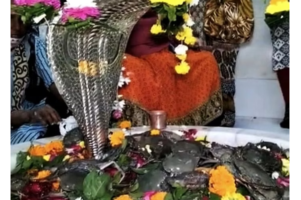 சிவனுக்கு உயிருள்ள நண்டை காணிக்கையாக வழங்கும் வினோதம் - பின்னணி! | Gujarat Devotees Offer Live Crabs To Lord Shiva