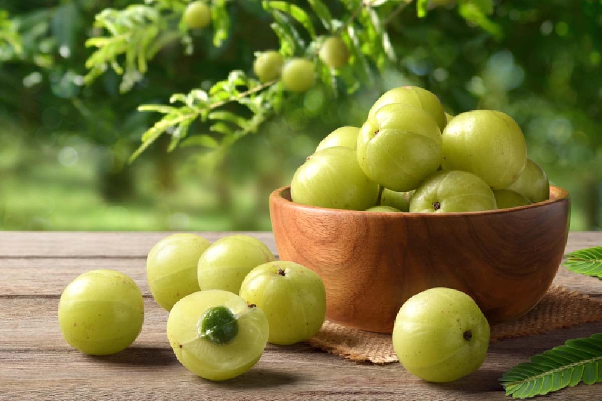 உடல் எடையைக் குறைக்கும் நெல்லிக்காய் ரசம்... எப்படி செய்றதுனு தெரியுமா? | Weight Loss Help Amla Rasam