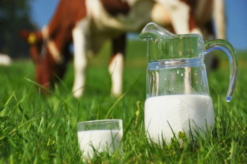 இந்தியாவில் இருந்து அமுல் பால் மாவை இறக்குமதி செய்ய நடவடிக்கை