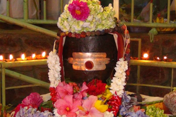 நாடளாவிய ரீதியில் இடம்பெற்ற சிவராத்திரி சிறப்பு வழிபாட்டு நிகழ்வுகள் | Island Wide Shivratri Special Worship Events