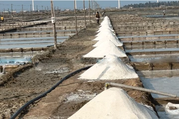 கடும் தட்டுப்பாடு; மழையில் கரைந்த 15 ஆயிரம் மெட்ரிக் தொன் உப்பு