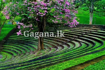 ජනතාවට විවෘත වුන සුන්දර පේරාදෙණිය සරසවිය - විශේෂ අවස්ථාවන් රැසක්..