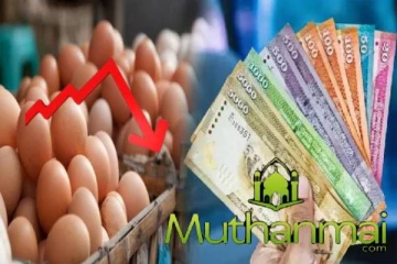 சந்தையில் முட்டையின் விலையில் வீழ்ச்சி