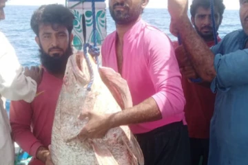 ஒரே இரவில் கோடீஸ்வரரான பாகிஸ்தான் மீனவர்!