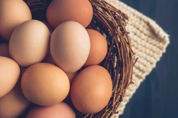 முட்டை விலை அதிகரிப்பு காரணமாக எடுக்கப்படும் நடவடிக்கை