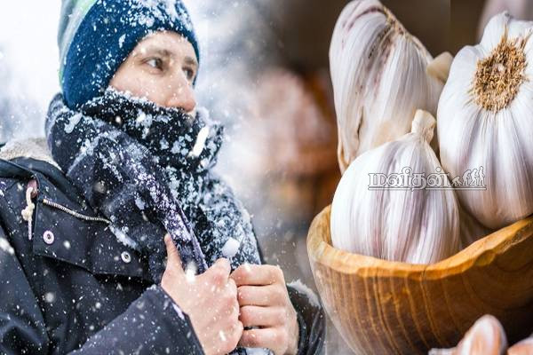 குளிர்காலத்தில் பலரை தாக்கும் நோய்.. உடனடியாக மாயாஜாலம் செய்யும் மூலிகை | Winter Stress Relief Garlic Ashwagandha Benefits குளிர்காலத்தில் பலரை தாக்கும் நோய்.. உடனடியாக மாயாஜாலம் செய்யும் மூலிகை | Winter Stress Relief Garlic Ashwagandha Benefits