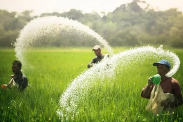 விவசாயிகளுக்கு மகிழ்ச்சி தகவல் - இலவசமாக கிடைக்கவுள்ள உரம்